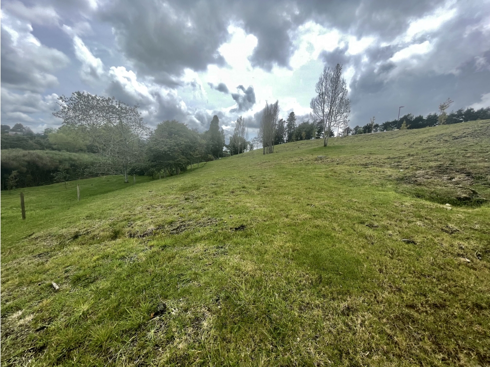 Venta lote en Parcelación Alto de Palmas / sector la Acuarela — foto 6
