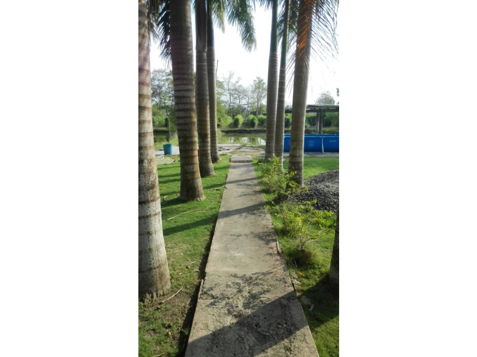 CASA CAMPESTRE EN VENTA POR LA UNIVERSIDAD PONTIFICIA — foto 4