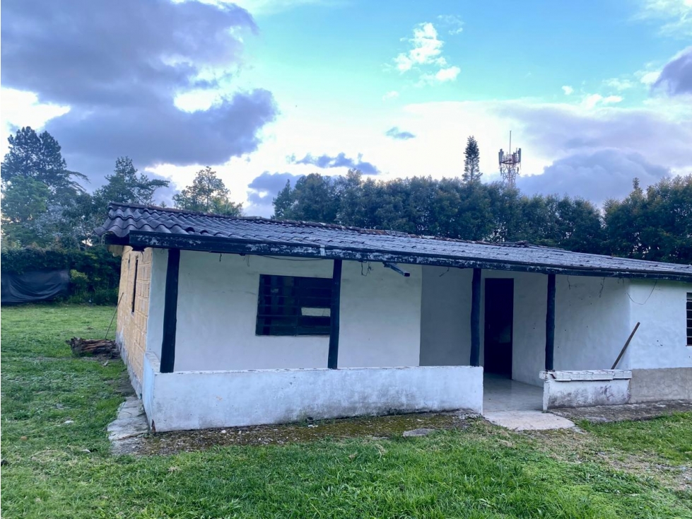 LOTE- TERRENO EN ARRIENDO EN LLANO GRANDE- RIONEGRO — foto 3