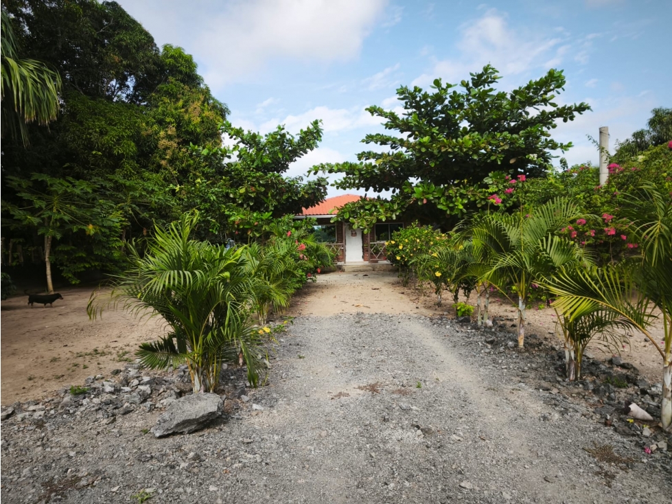 CASA CAMPESTRE EN VENTA - LA COROZA. MONTERIA - 1