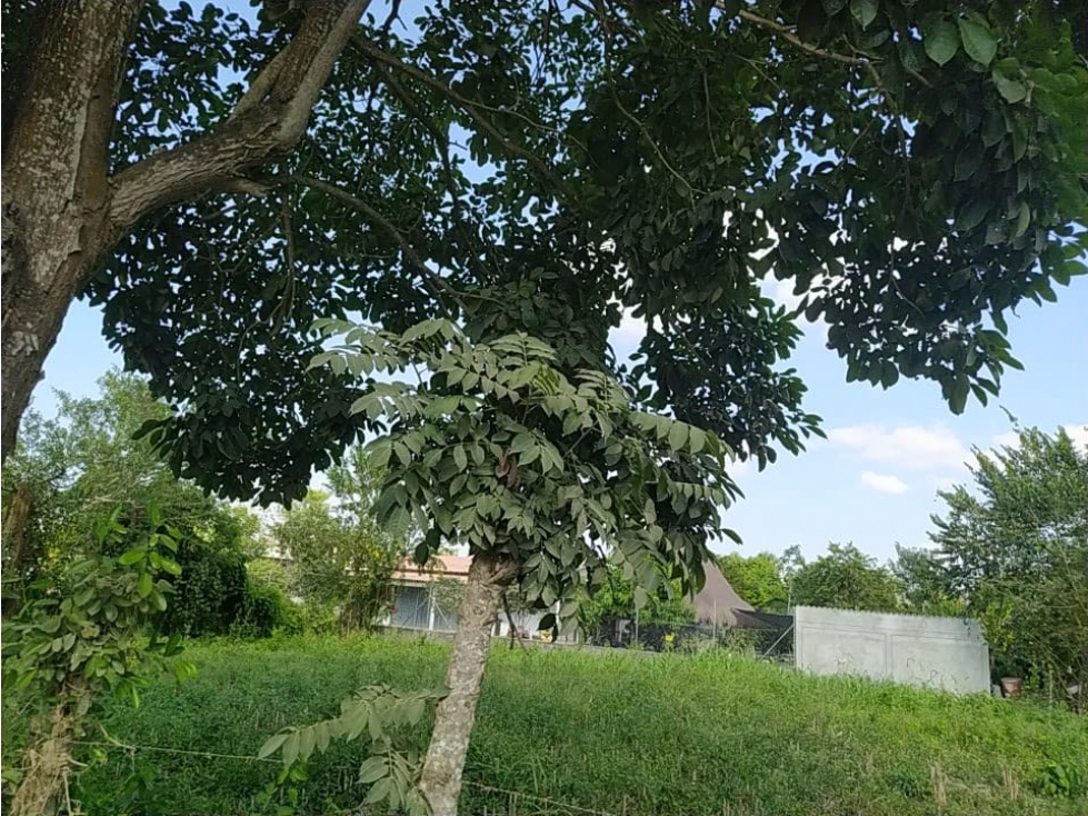 LOTE CAMPESTRE EN VENTA - MONTERIA — foto 2