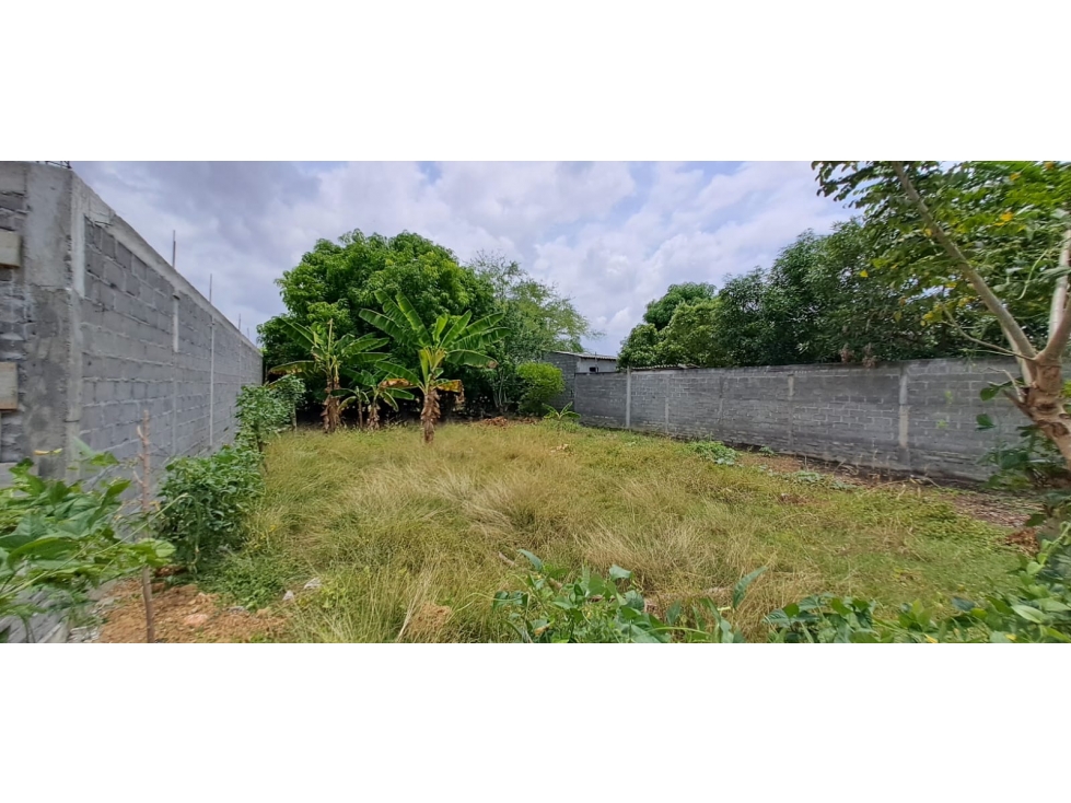 SE VENDE LOTE EN EL BARRIO HORIZONTE 375 Metros - MONTERÍA