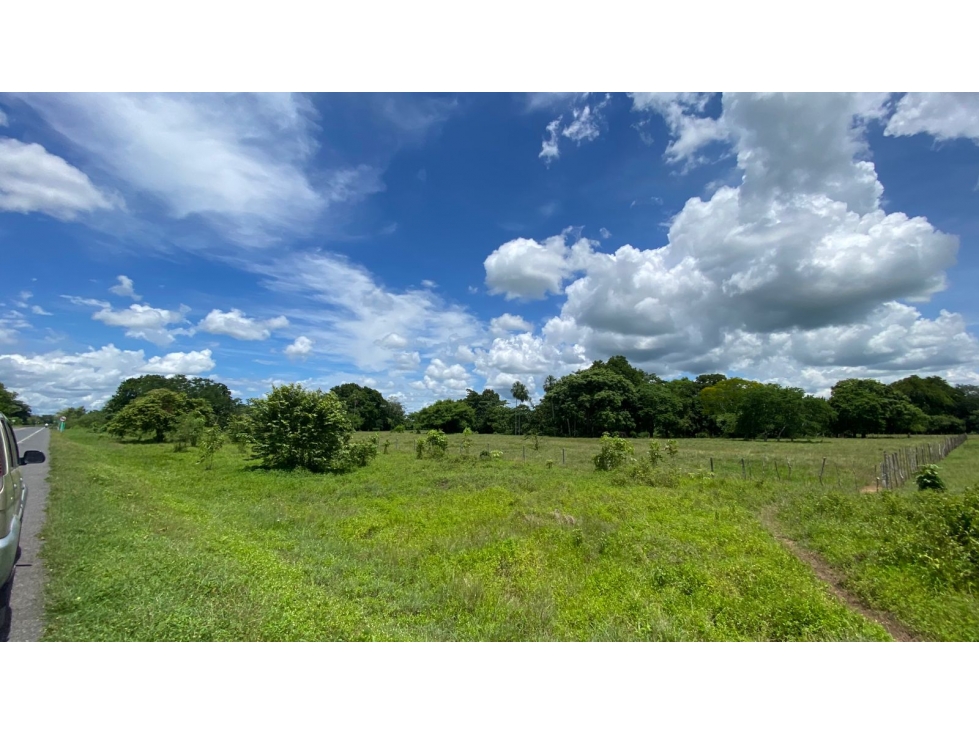 TERRENO EN VENTA EN SAN CARLOS- CORDOBA, ORILLA DE CARRETERA - 2
