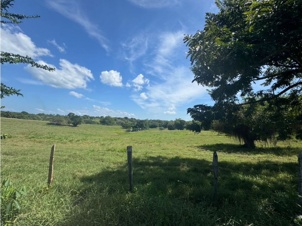 LOTES CAMPESTRES EN AN ANTERO CORDOBA A 500M2 DEL MAR - 1