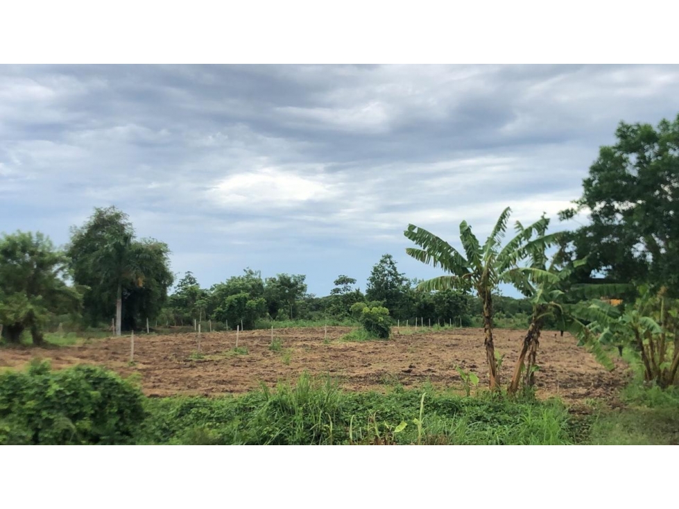 LOTE EN VENTA MUY CERCA DEL AEROPUERTO LOS GARZONES- MONTERIA