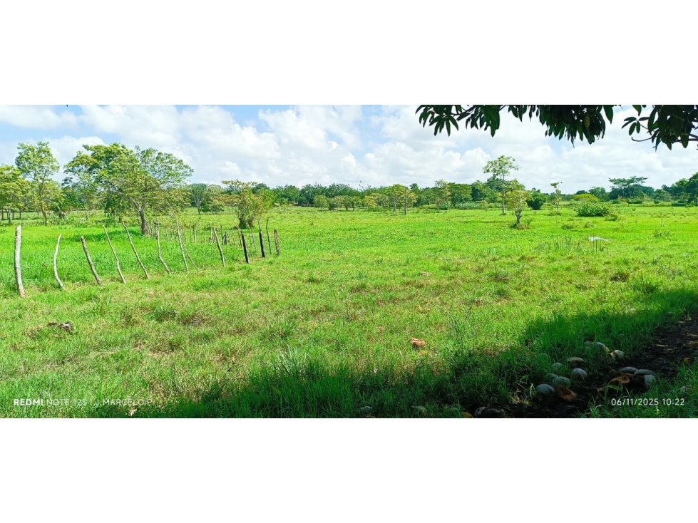 FINCA EN VENTA EN CIENAGA DE ORO - TIERRA PLANA - 3