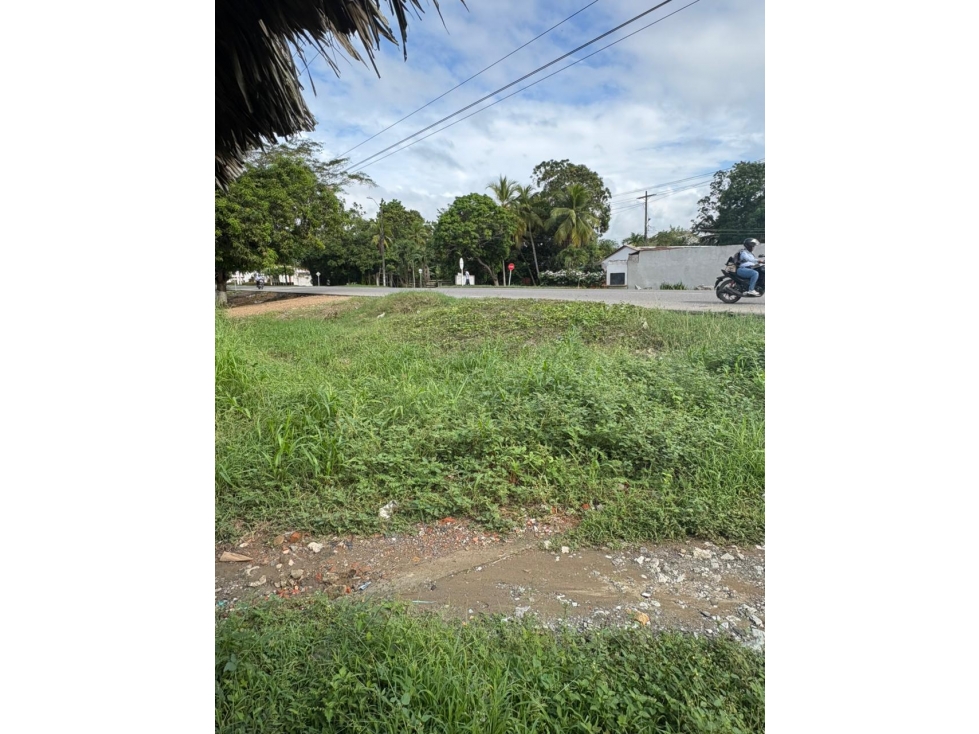 LOTE INDUSTRIAL EN VENTA ZONA FRANCA DE CERETE - 4