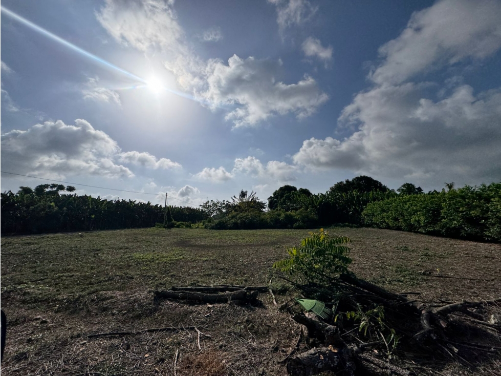 PROYECTO DE LOTES CAMPESTRES EN MONTERIA — foto 6