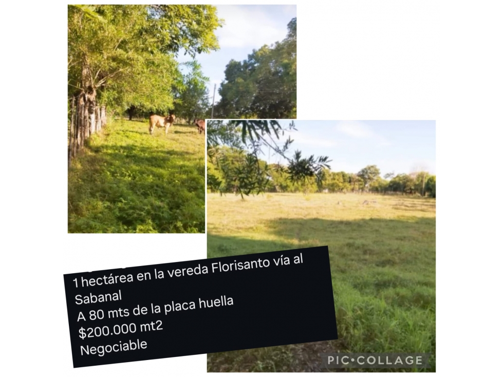 TERRENOS PARA CAMBIAR TU MUNDO — foto 5