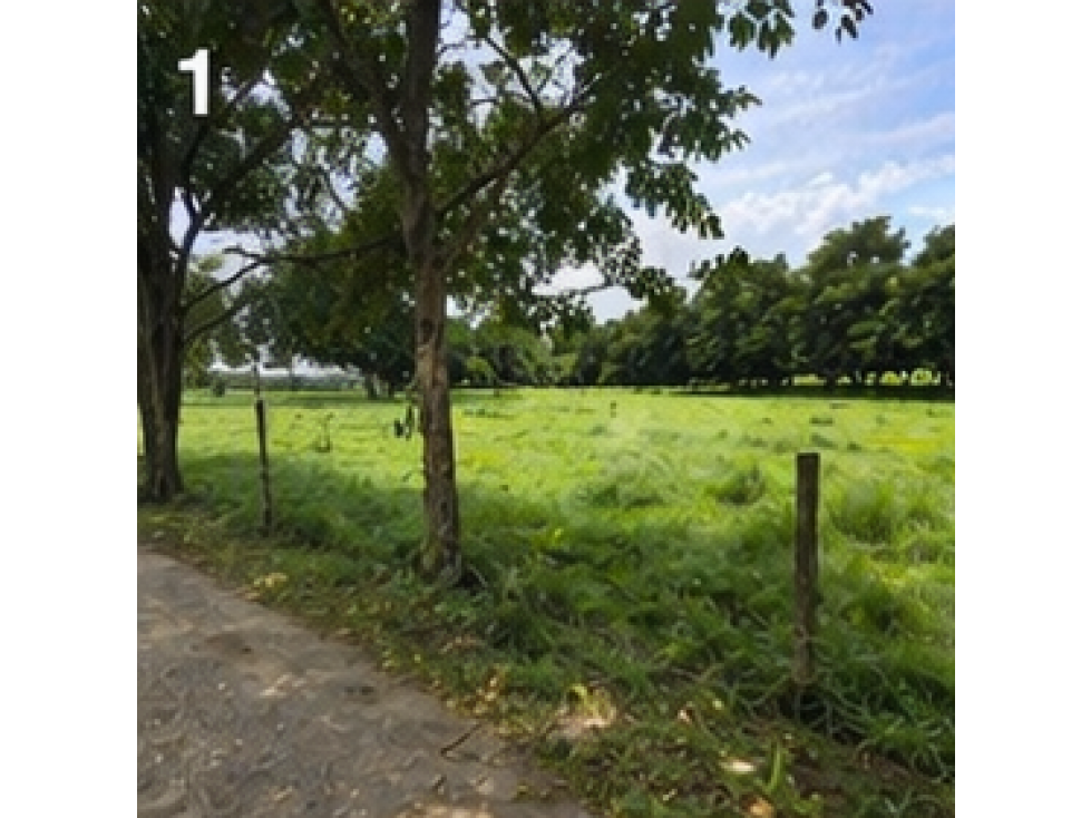 LOTE DE OPORTUNIDAD