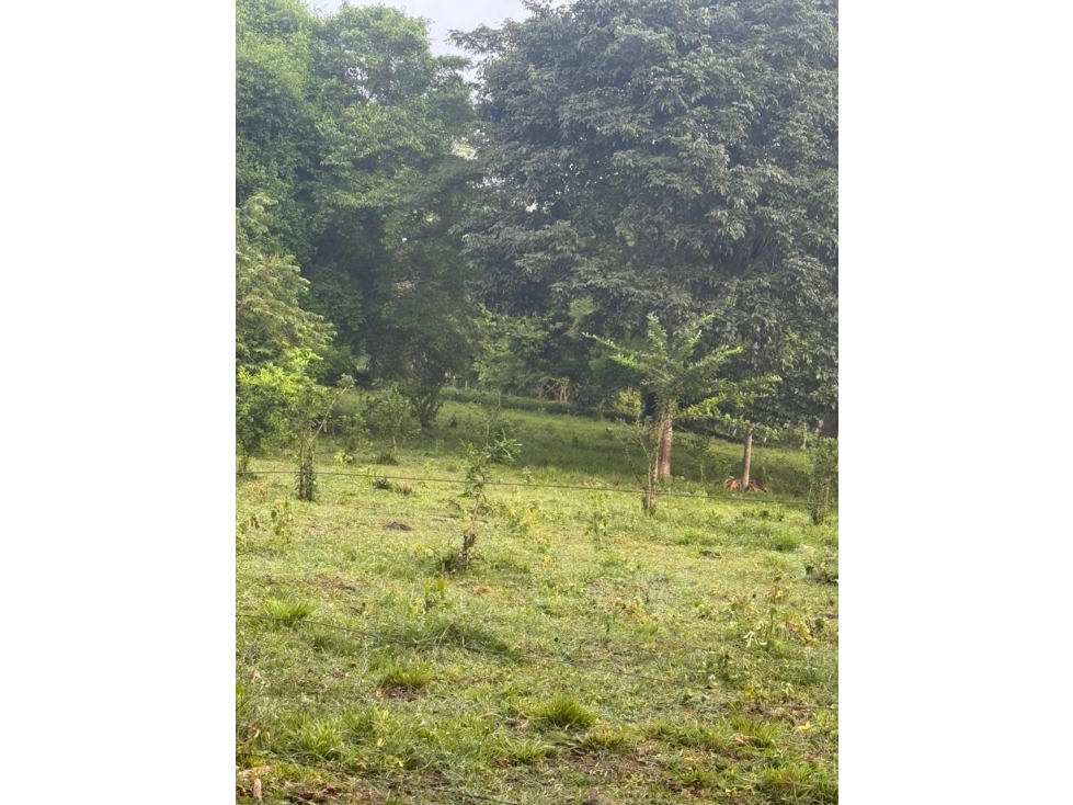LOTE DE 3000 M2 EN VENTA EN SANTA LUCIA 135