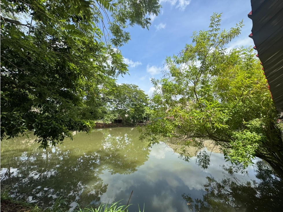 LAGO TERRENO EN VENTA EN MONTERIA - VIA PLANETA RICA — foto 2