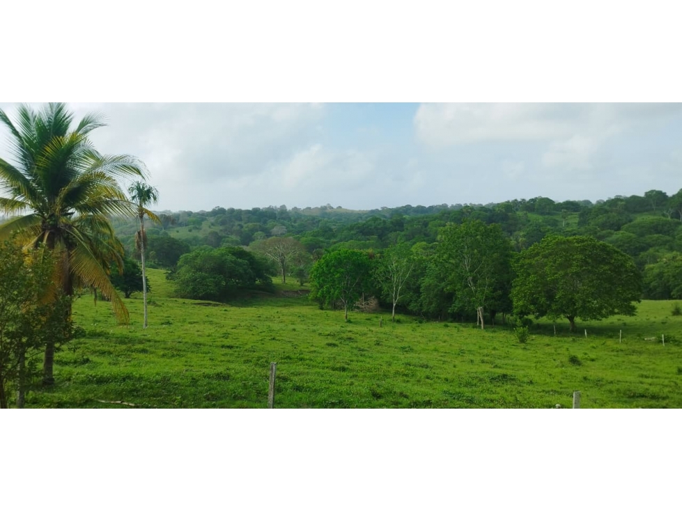 FINCA EN VENTA EN LOS CORDOBAS - 1