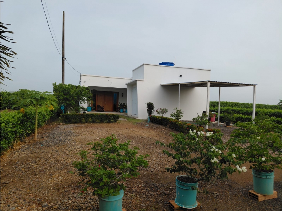 VENTA DE CASA CAMPESTRE MONTERIA — foto 5
