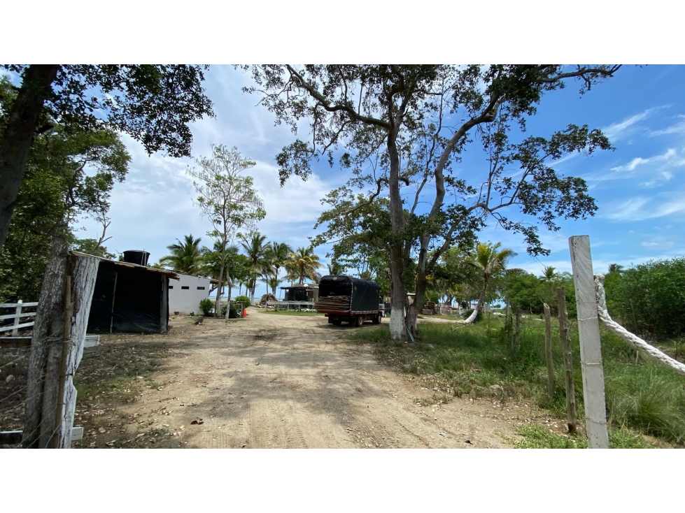 TERRENO EN VENTA FRENTE AL MAR EN TOLU - 6