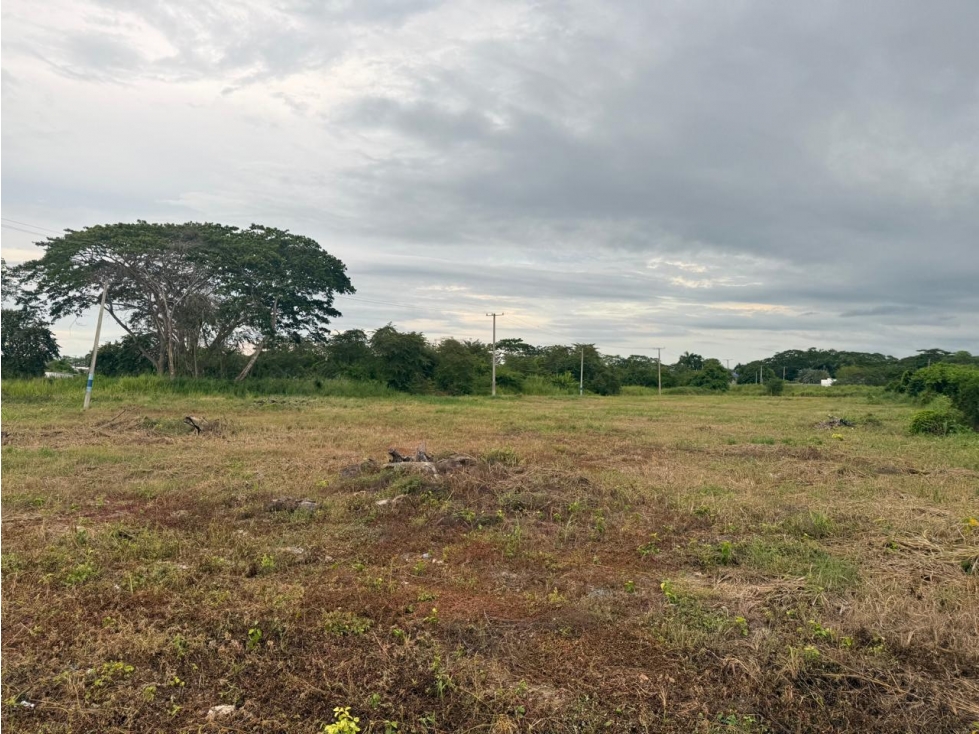 LOTE DE UNA CUADRA ENTERA EN VENTA EN SAN FRANCISCO - MONTERIA — foto 3