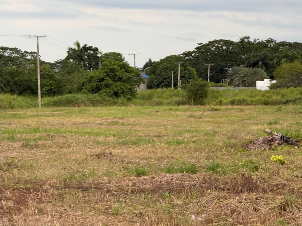 LOTE DE UNA CUADRA ENTERA EN VENTA EN SAN FRANCISCO - MONTERIA — foto 4