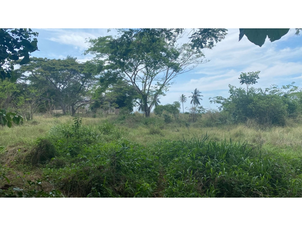 LOTE EN VENTA EN TOLU, FRENTE AL MAR, CERCA DEL AEROPUERTO - 5