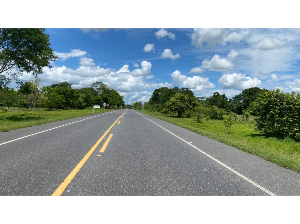 TERRENO EN VENTA EN SAN CARLOS- CORDOBA, ORILLA DE CARRETERA - 1