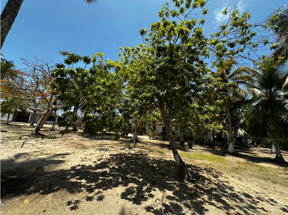 CABAÑA EN VENTA EN PLAYAS DEL FRENCES - 1