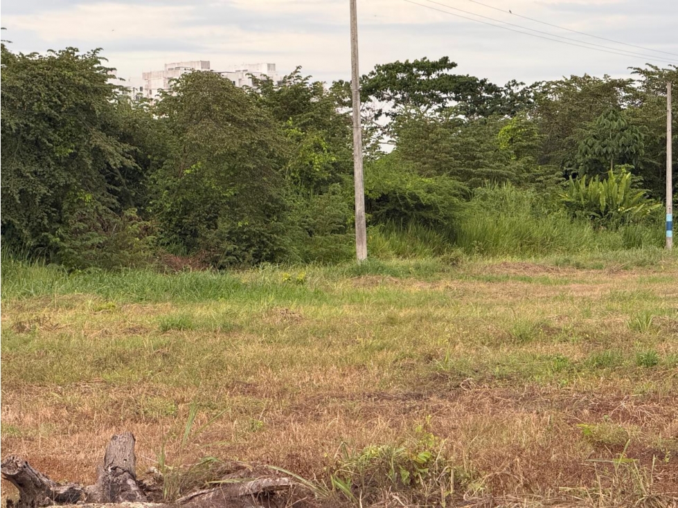 LOTE DE UNA CUADRA ENTERA EN VENTA EN SAN FRANCISCO - MONTERIA — foto 6