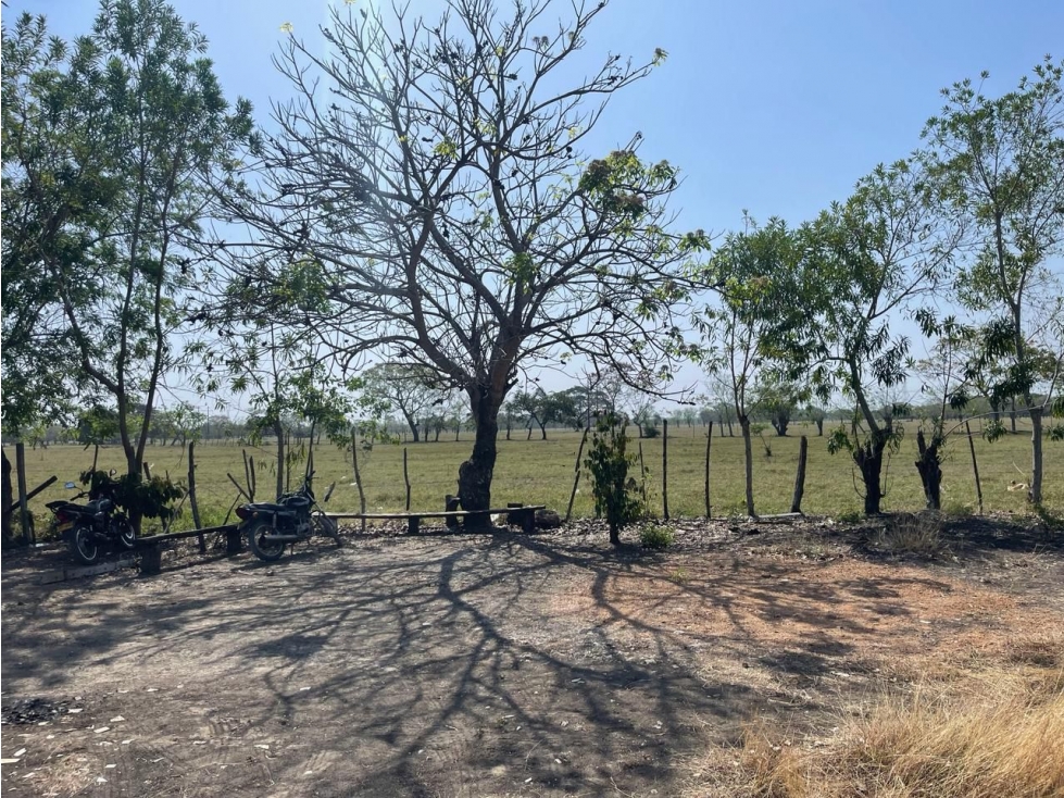 LOTE CAMPESTRE EN VENTA EN CALIFORNIA - MONTERIA — foto 2