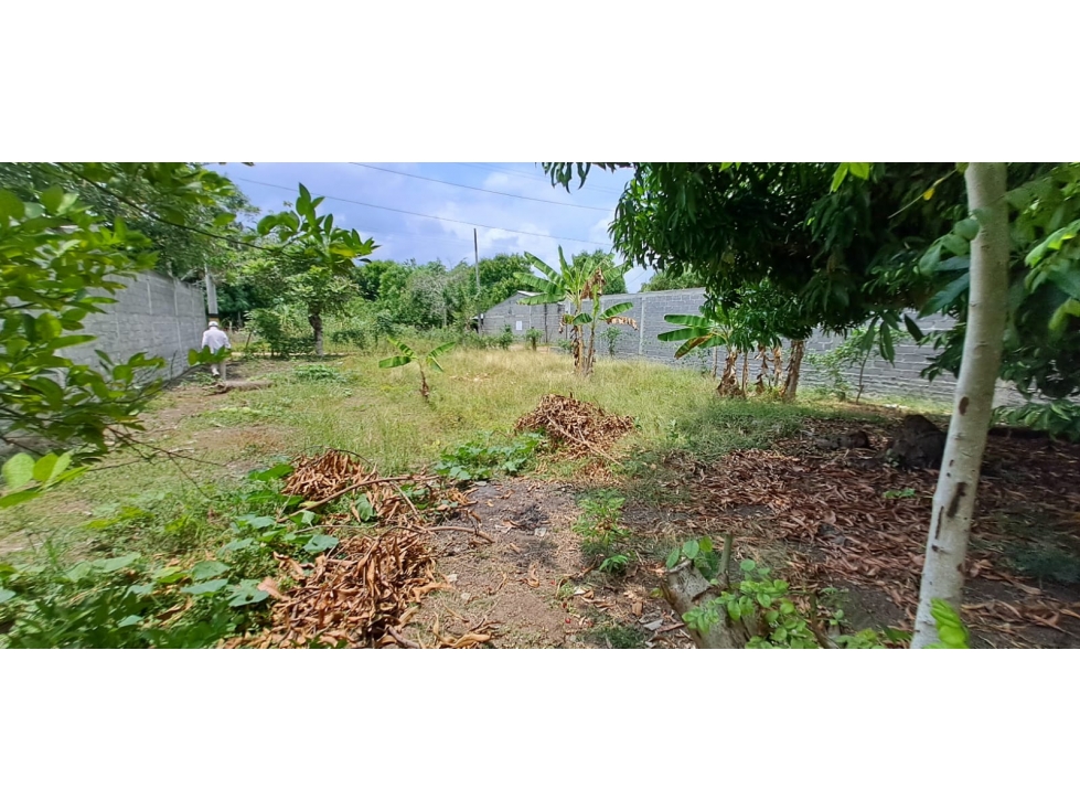 SE VENDE LOTE EN EL BARRIO HORIZONTE 375 Metros - MONTERÍA — foto 2