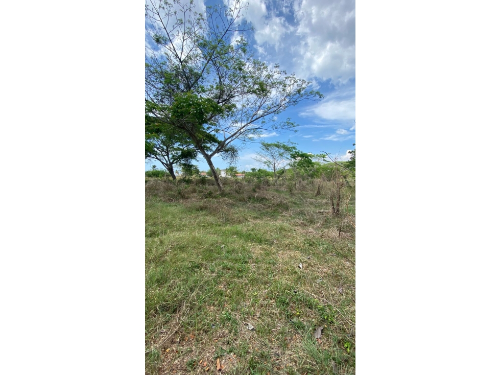 LOTE EN VENTA EN TOLU, FRENTE AL MAR, CERCA DEL AEROPUERTO - 3