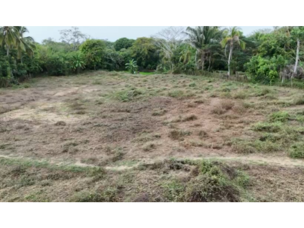 SE VENDE LOTE EN PUNTA BOLIVAR CORDOBA — foto 2