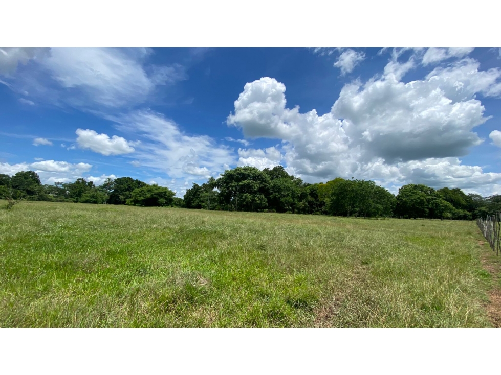 TERRENO EN VENTA EN SAN CARLOS- CORDOBA, ORILLA DE CARRETERA - 3