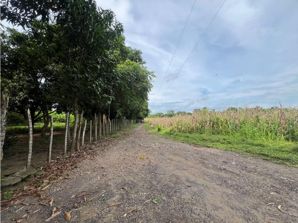 LOTE EN VENTA EN URBANIZACIÓN COMFACOR — foto 2