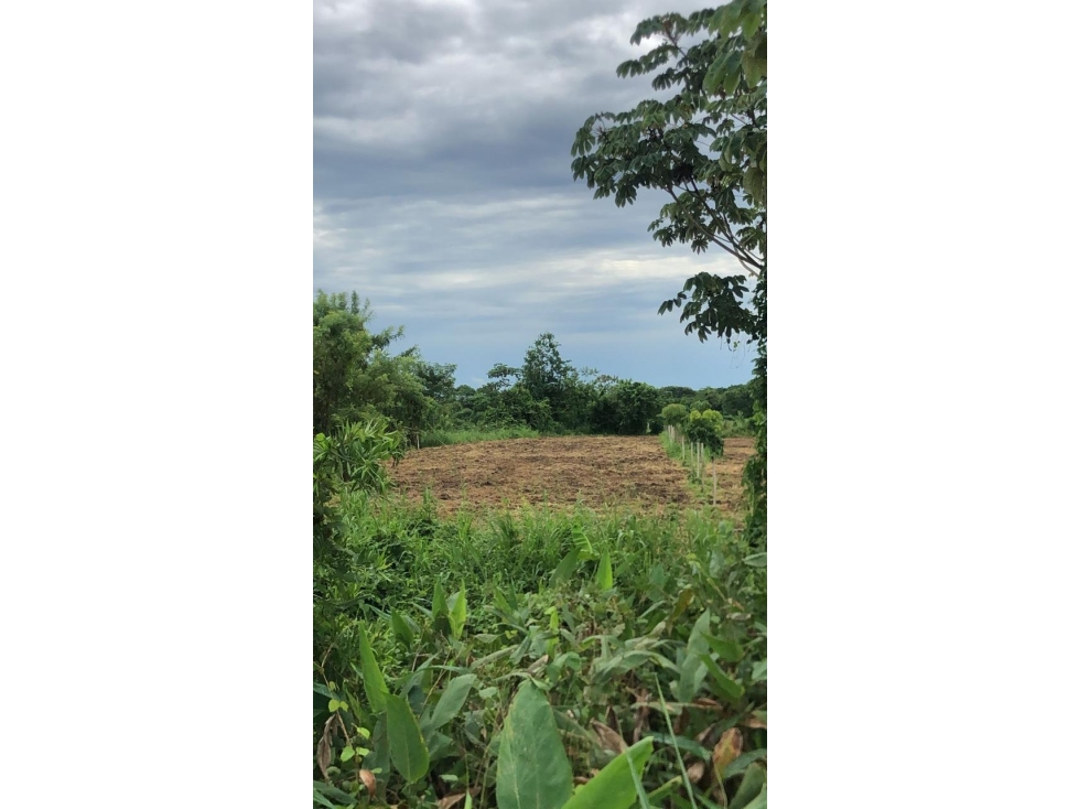 LOTE EN VENTA MUY CERCA DEL AEROPUERTO LOS GARZONES- MONTERIA — foto 2
