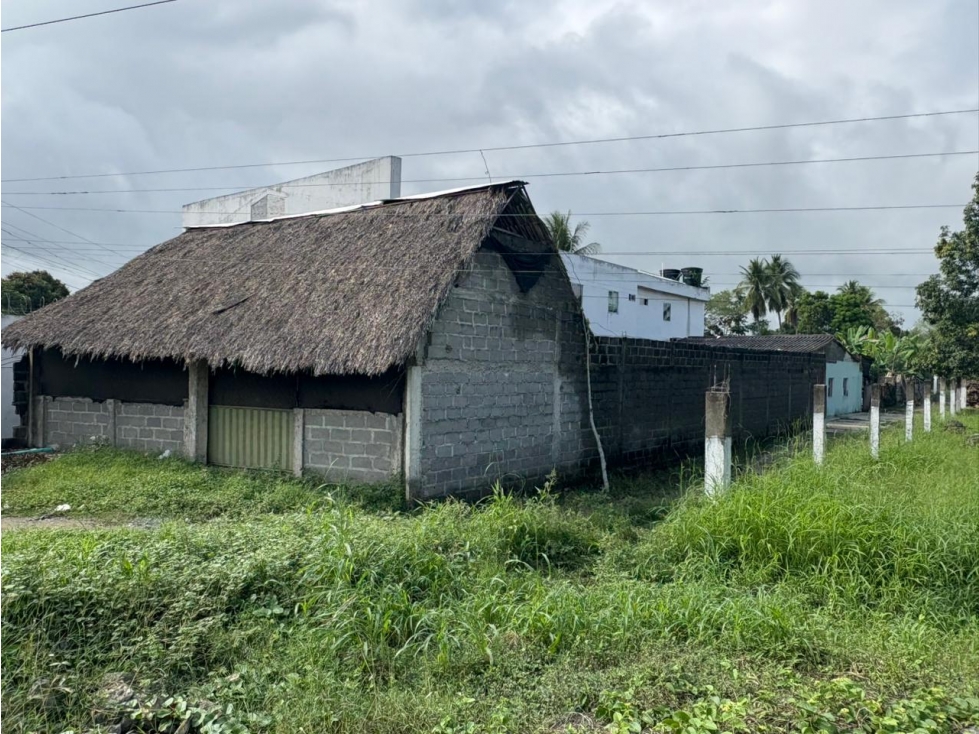 LOTE INDUSTRIAL EN VENTA ZONA FRANCA DE CERETE - 2