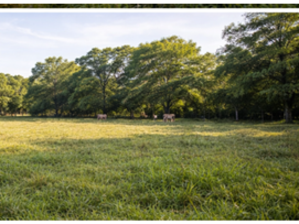 TERRENOS PARA CAMBIAR TU MUNDO — foto 2