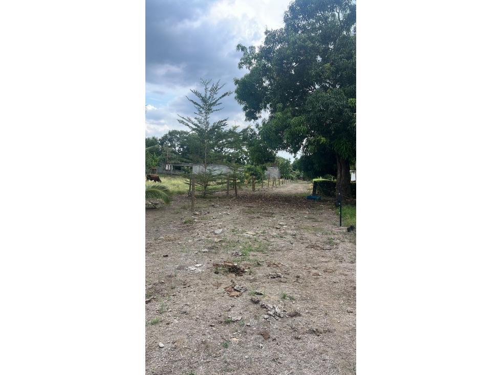 EN VENTA LOTE EN AGUAS NEGRAS - MONTERIA