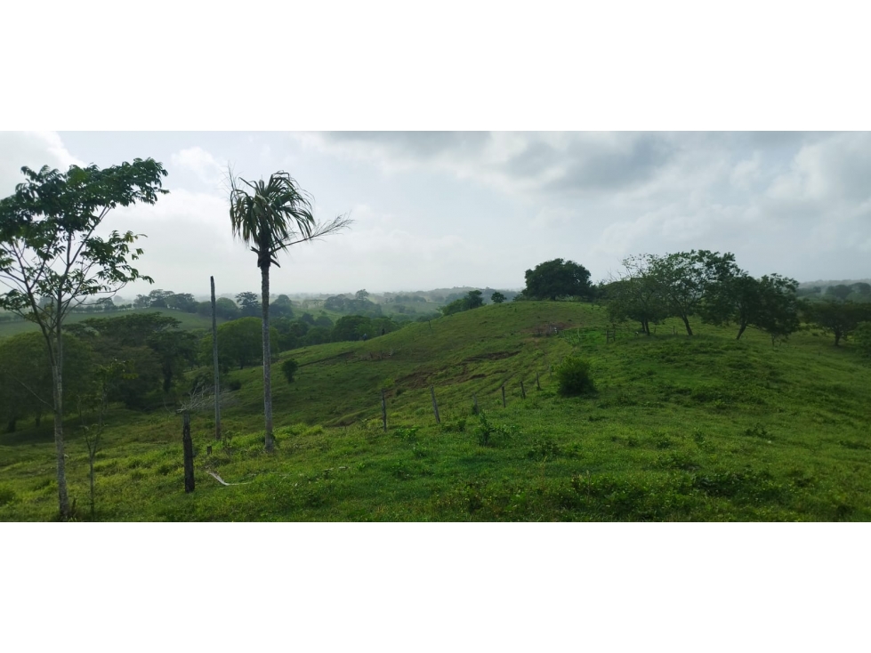 FINCA EN VENTA EN LOS CORDOBAS - 2