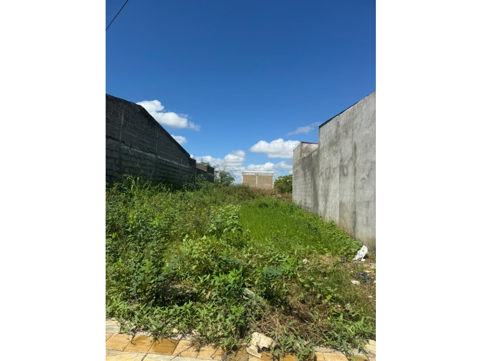 EN VENTA LOTE MEDIANERO EN VILLA CARIBE - MONTERIA — foto 6