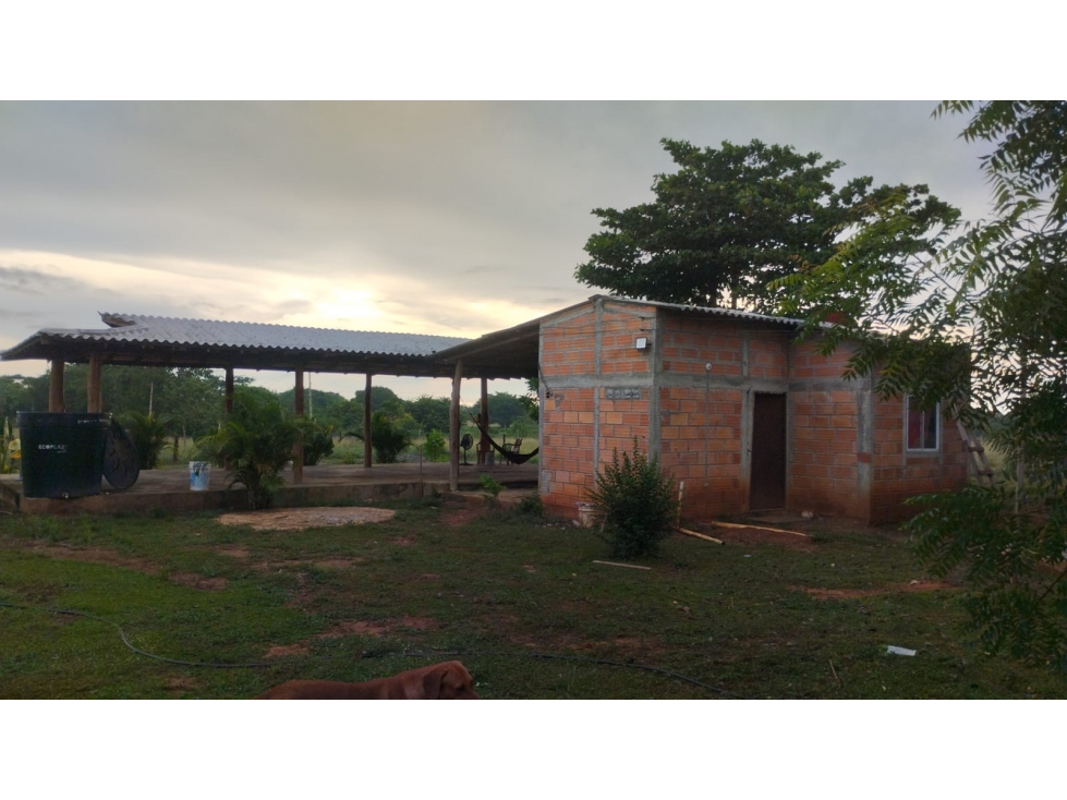 FINCA DE 5 HECTAREAS EN VENTA EN MONTERIA- VEREDA LETICIA — foto 6