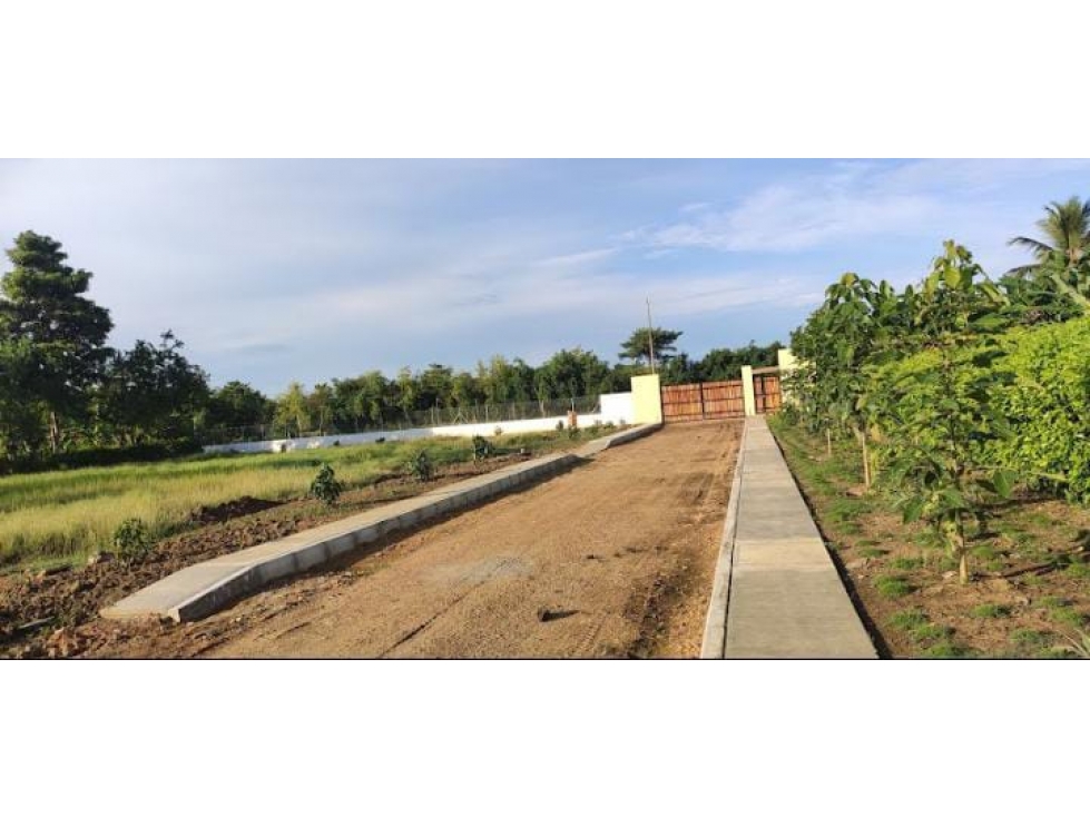 LOTES CAMPESTRES EN VENTA - VÍA SAN CARLOS — foto 4