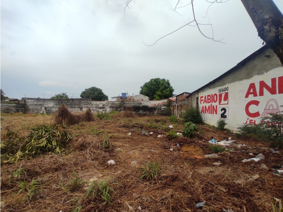 SE VENDE LOTE COMERCIAL CENTRO - MONTELIBANO - 3