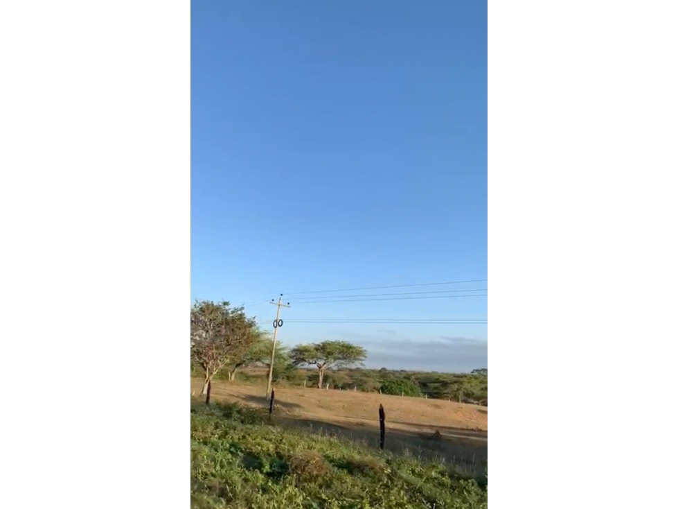 ARRIENDO FINCA + TERRENO VIA CALAMAR BOLIVAR - 3
