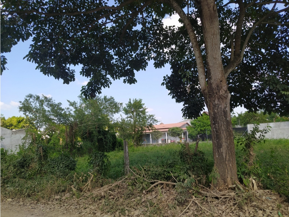 LOTE CAMPESTRE EN VENTA - MONTERIA