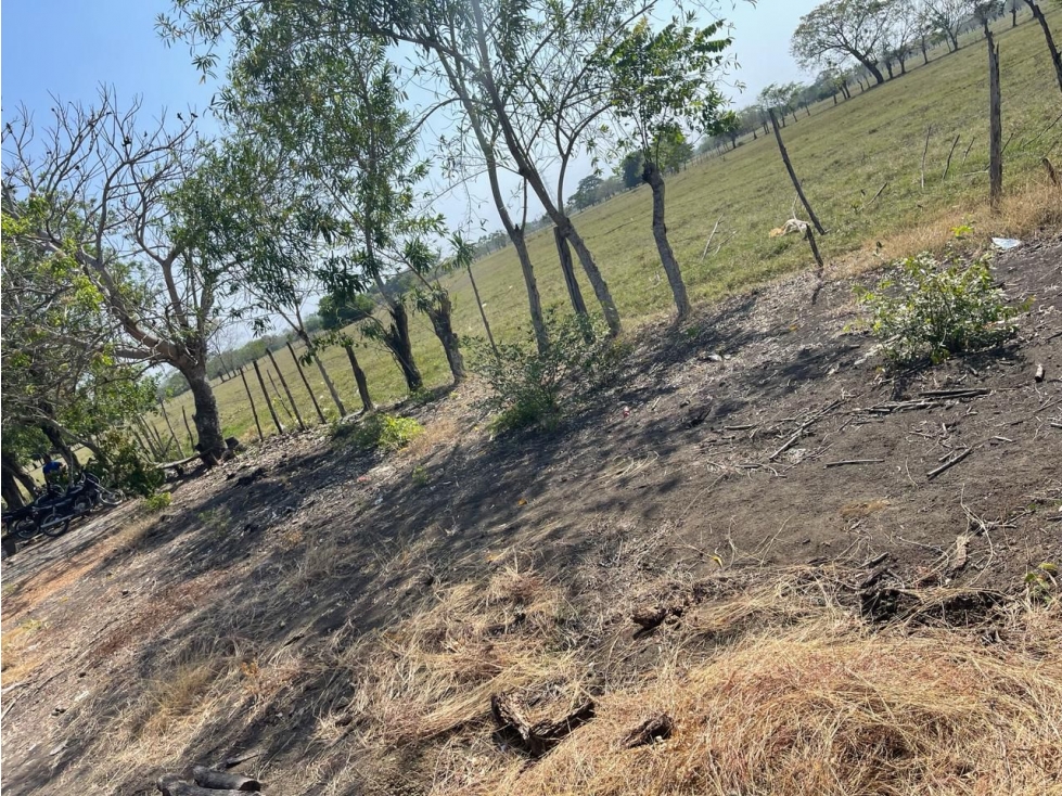 LOTE CAMPESTRE EN VENTA EN CALIFORNIA - MONTERIA — foto 3