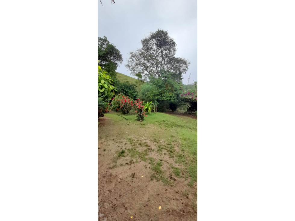 FINCA EN VENTA EN EL CORREGIMIENTO PUEBLO BUJO, VDA EL BALSAL- CORDOBA