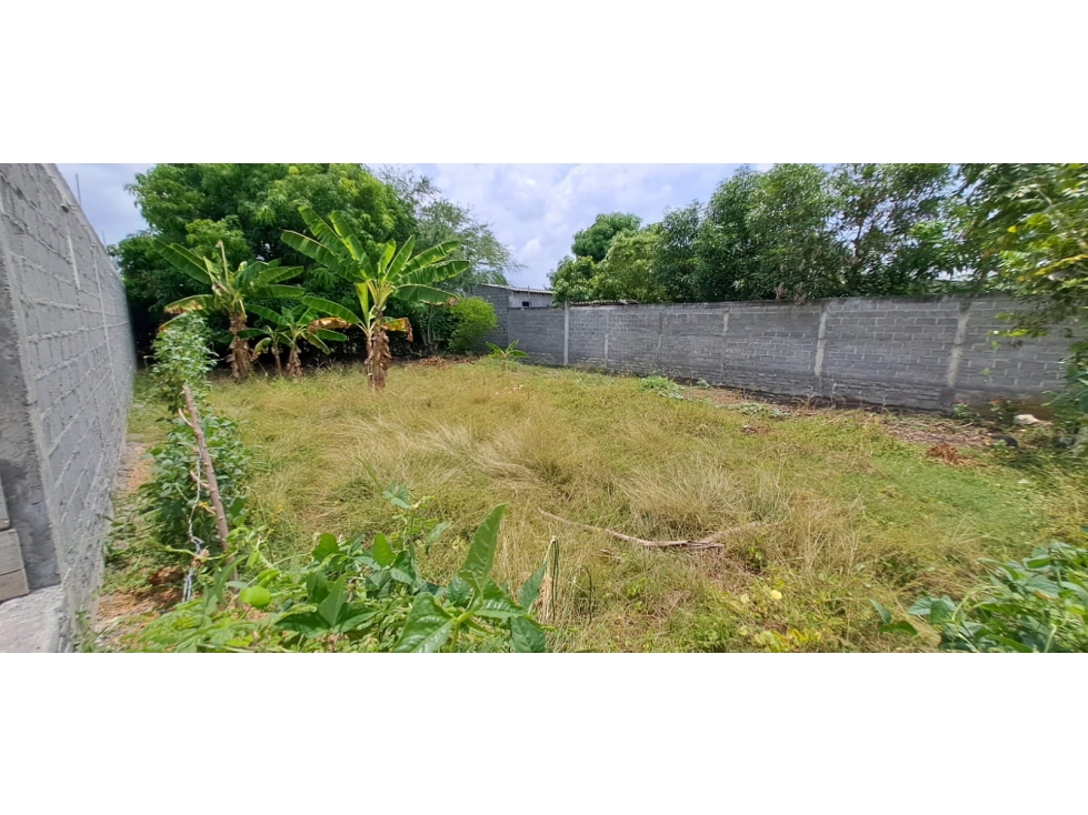 SE VENDE LOTE EN EL BARRIO HORIZONTE 375 Metros - MONTERÍA — foto 3