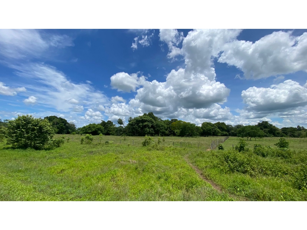 TERRENO EN VENTA EN SAN CARLOS- CORDOBA, ORILLA DE CARRETERA - 4