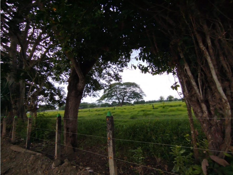 PROYECTO DE LOTES CAMPESTRES DE 1000 M2 VIA SABANAL - MONTERIA — foto 5