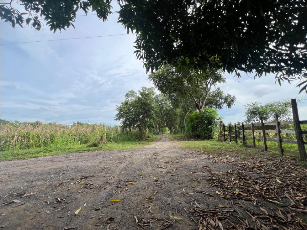 LOTE EN VENTA EN URBANIZACIÓN COMFACOR — foto 3
