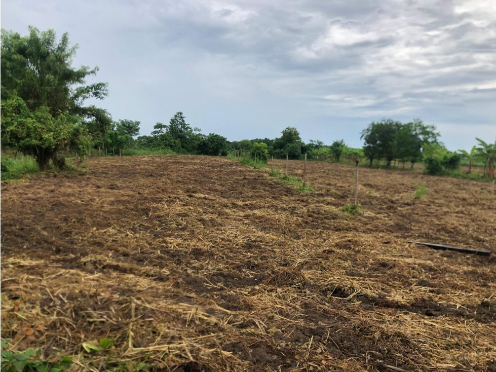 LOTE EN VENTA MUY CERCA DEL AEROPUERTO LOS GARZONES- MONTERIA — foto 3