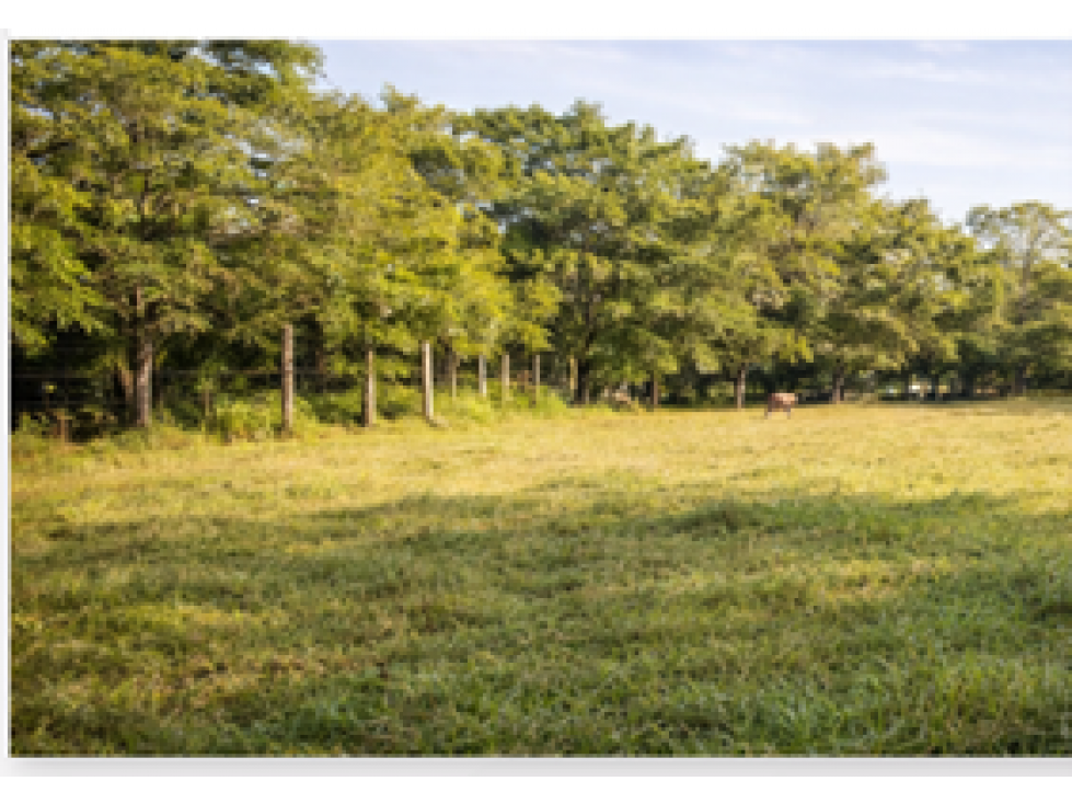 TERRENOS PARA CAMBIAR TU MUNDO — foto 3
